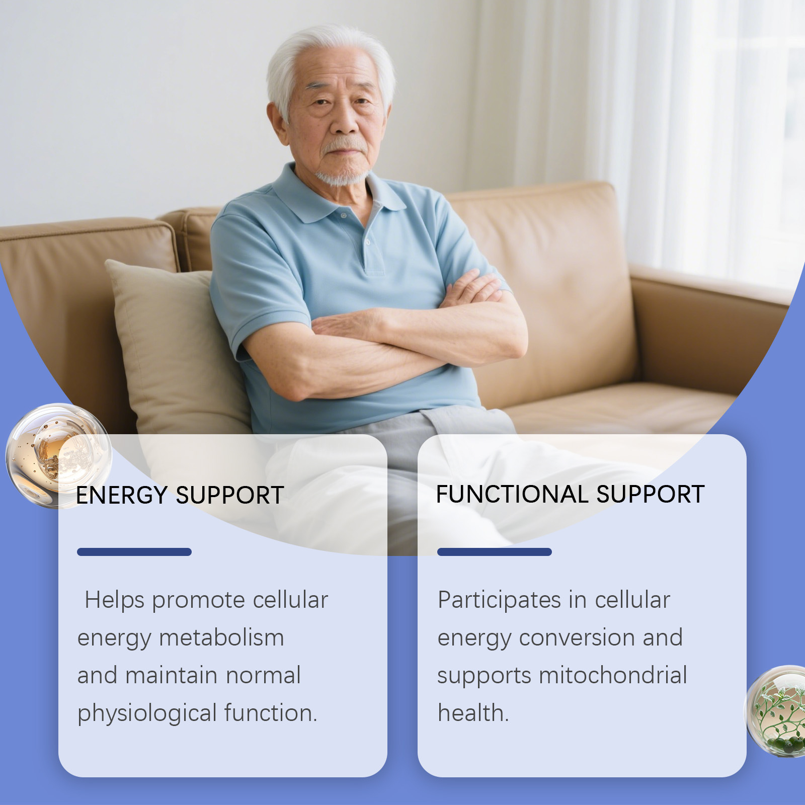 활력 증진 드롭스는 신진대사를 촉진하고, 집중력을 향상 - Nutrition For Health Fitness & Sport Melvin Williams 리뷰 및 가격